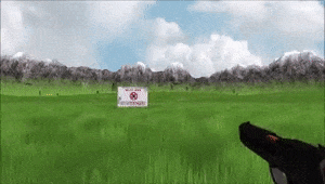 a GIF of a simple FPS game