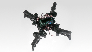 a picture of a quadrupedal robot